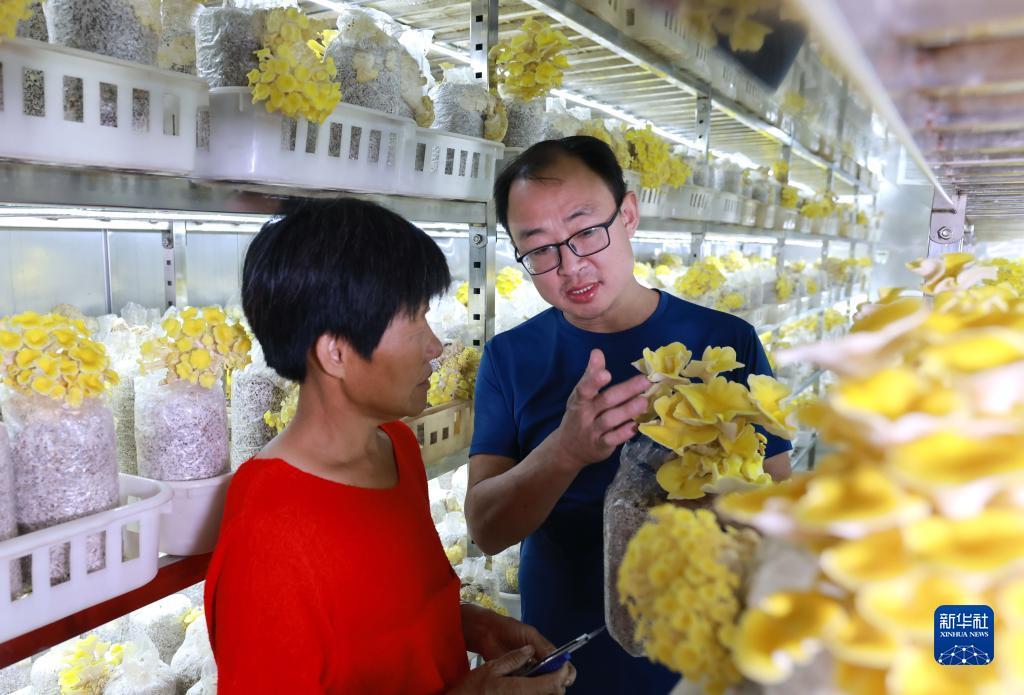 摆脱游戏手机官网